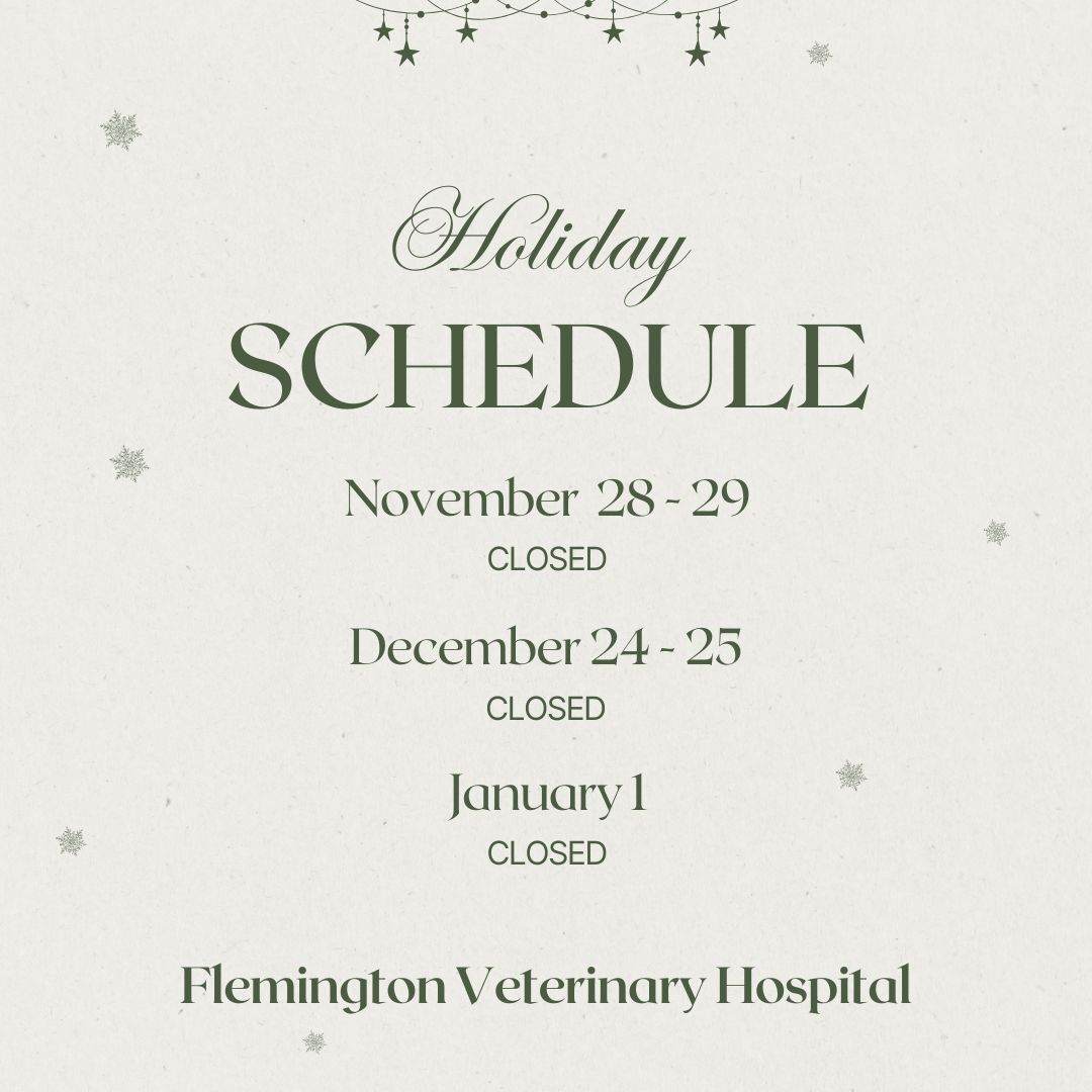 Holiday Closures - FVH